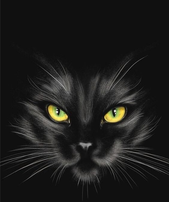 CONTO – O Gato Preto – Clássico de Terror – Edgar Allan Poe